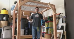 Carpentry Easy Shelf Dog House Construction