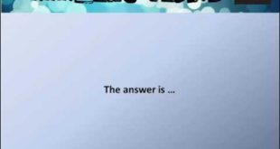 (Cesar Millan stands by a small group of dogs) With a little bit of help from me, # Quiz # Question