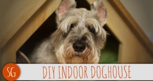 ? Cheap and easy modern doghouse that you can make! | How-to