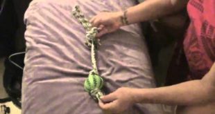 Chew Rope Toy with Natural Rubber Ball for Small Medium Dogs to Play Tug Of War Review