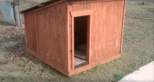 Cool Pallet Dog House DIY