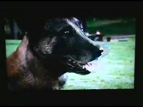 Crank 2 High Voltage Electric Dog Collar Scene
