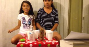 Crazy dog food Challenge