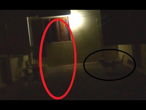 Creepiest YouTube Videos!! Ghost Seen By Dog In My House?! Real Ghost Caught In Apartment Part 03