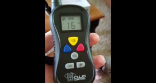Cujo control best dog training collar from Cujo Control