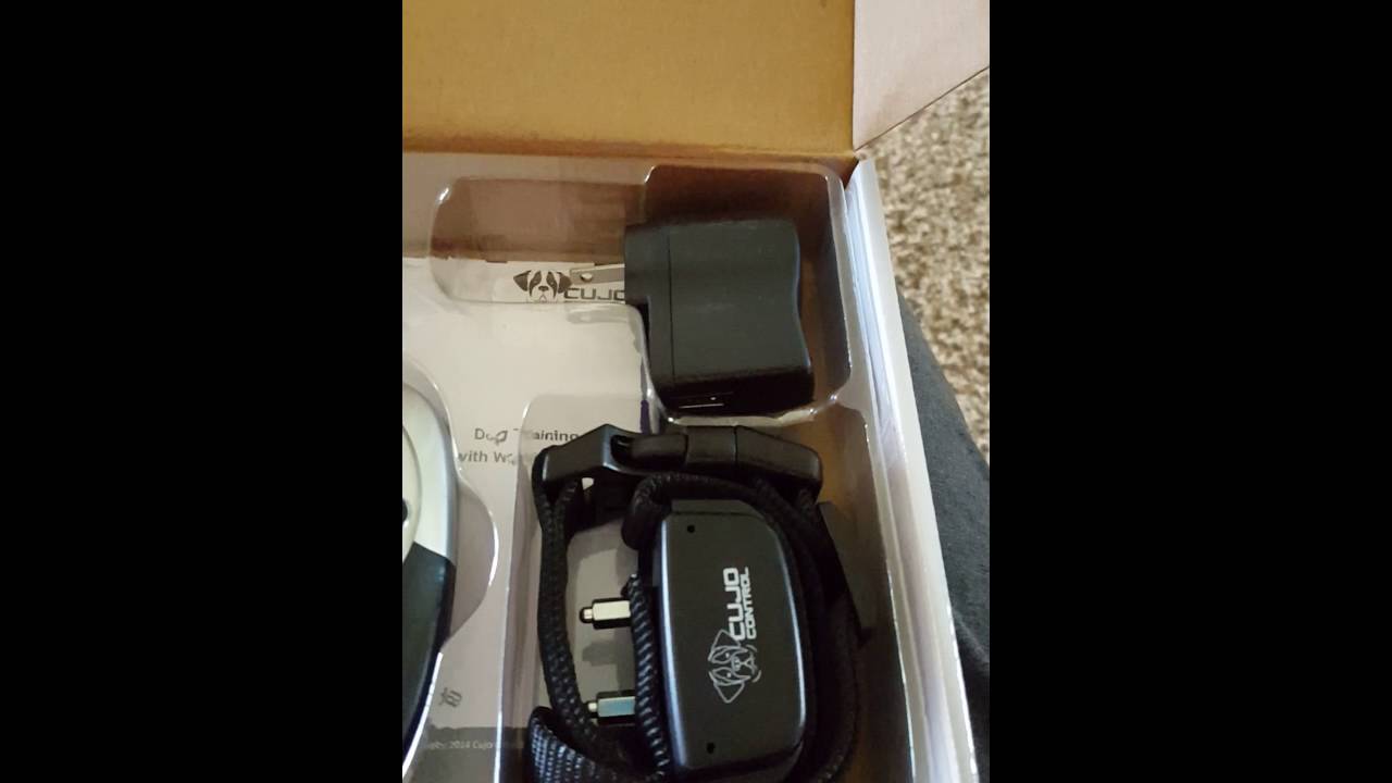 Cujo Control Dog Trainer