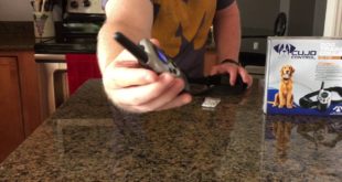 Cujo Control New & Improved Dog Training Collar