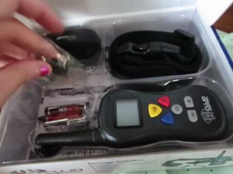 Cujo Dog Training Collar