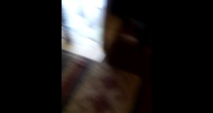 Cutest dog in the World(dog dancing dog food)