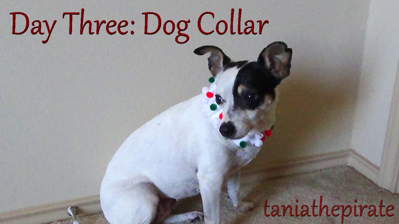 Day Three: Ruffle Dog Collar