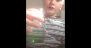 Disgusting dog food challenge