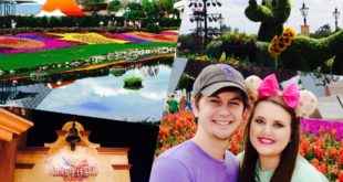 Disney Topiaries, Mexican Wishes, & Dog Food?| Feb-March WDW Vlogs | Disney At Heart