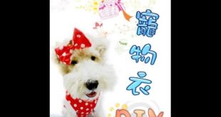 DIY dog clothes—- (中小型犬紙型下載)(上)