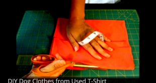 DIY Dog Clothes from Used T-Shirt