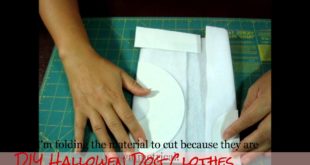 DIY Hallowen Dog Clothes with Pirates Costums