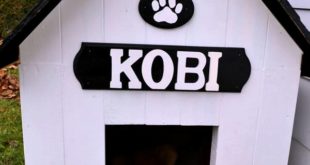 DIY Simple Dog House
