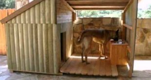 DIY Wood Dog House