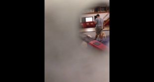 Dog abuse at St Peters Missouri Dog Trainer by Shock Collar