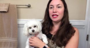 Dog Bark Collar review#DigityDogsNoBarkCollar