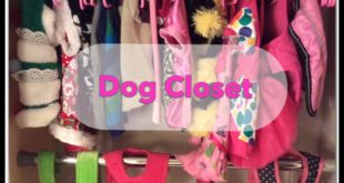 Dog Closet