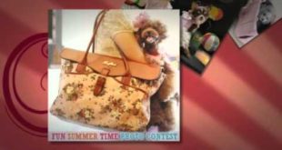 Dog Clothes and Accessories – Make Your Pooch Look Trendy and Charming