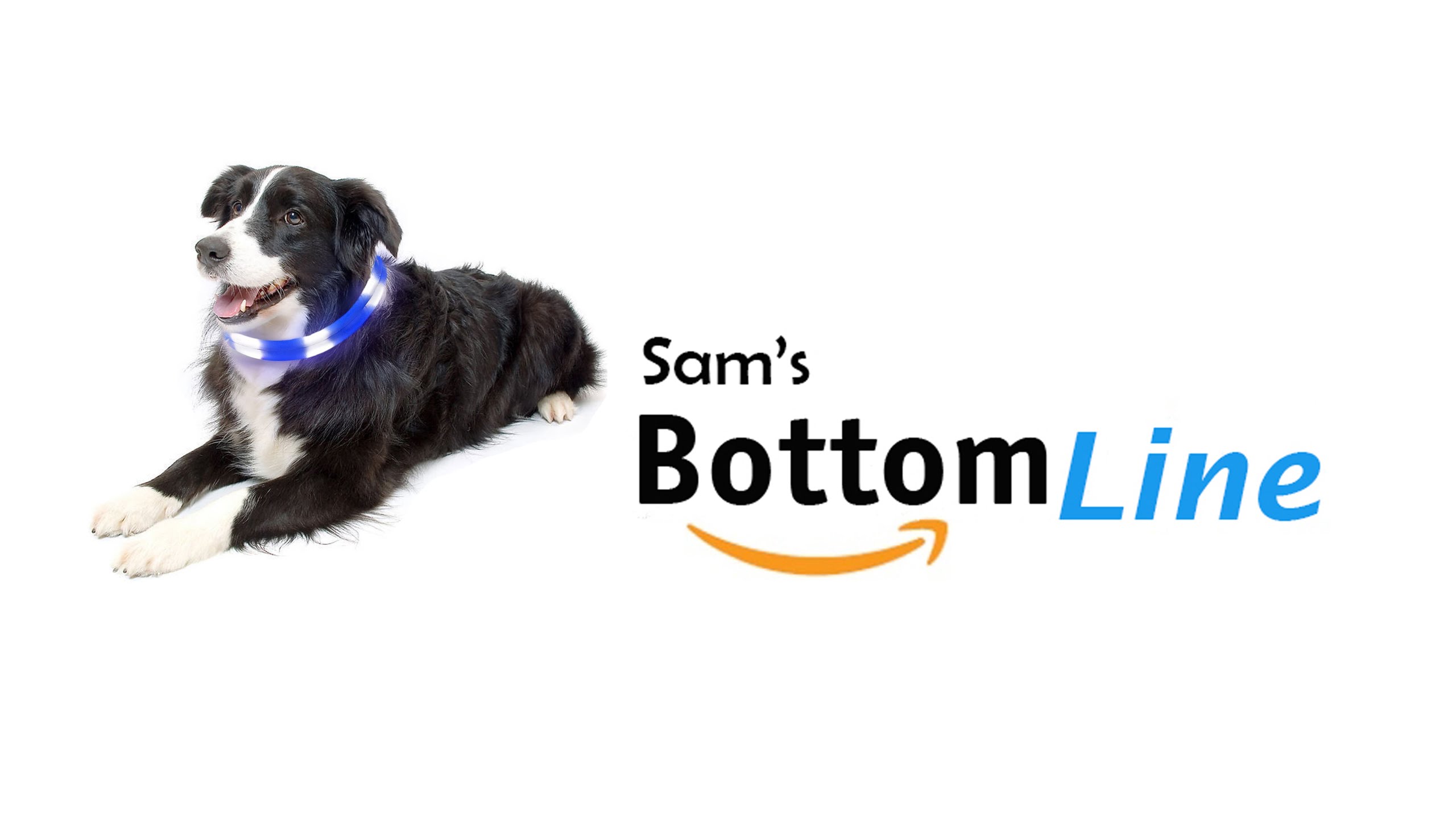 Dog Collar, Aodoor Led USB Rechargeable Flashing Cable Pet Safety Collar