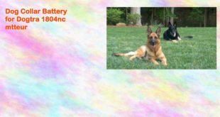 Dog Collar Battery for Dogtra 1804nc mtteur