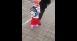 DOG DRESSED IN CLOTHING  ( ASIAN SONG )