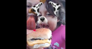 Dog  food