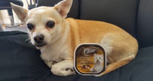 Dog Food / Cat Food Challenge  ” Read Description ”   #TCBARMY