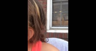 Dog food challenge part 2