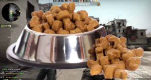 DOG FOOD – CS:GO Funny Moments