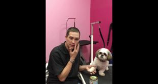 Dog Food Delivery Henderson | Healthy Dog Food Delivery Las Vegas