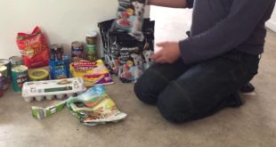 Dog Food Make Healthy 1/4