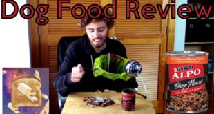 Dog Food Review (Almost Threw Up)