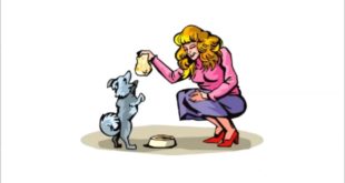 Dog Food Reviews  –  What Is The Best Dog Food Secrets?
