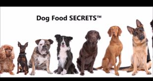 Dog Food SECRETS “G-Terra Review”