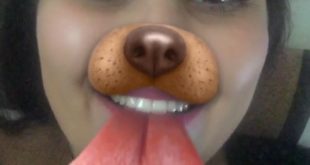 DOG FOOD TASTING CHALLENGE | THE KINGA SHOW