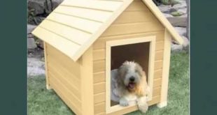 Dog House Designs Set Of Picture Collection Ideas | Dog House Designs