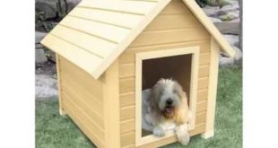 Dog House Designs Set Of Pictures And Ideas – Dog Accessories & Products