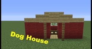 Dog House – Timelapse