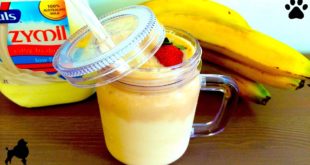 DOG MILK SHAKE FRUIT SMOOTHIE  HEALTHY FRESH – DIY Dog Food by Cooking For Dogs