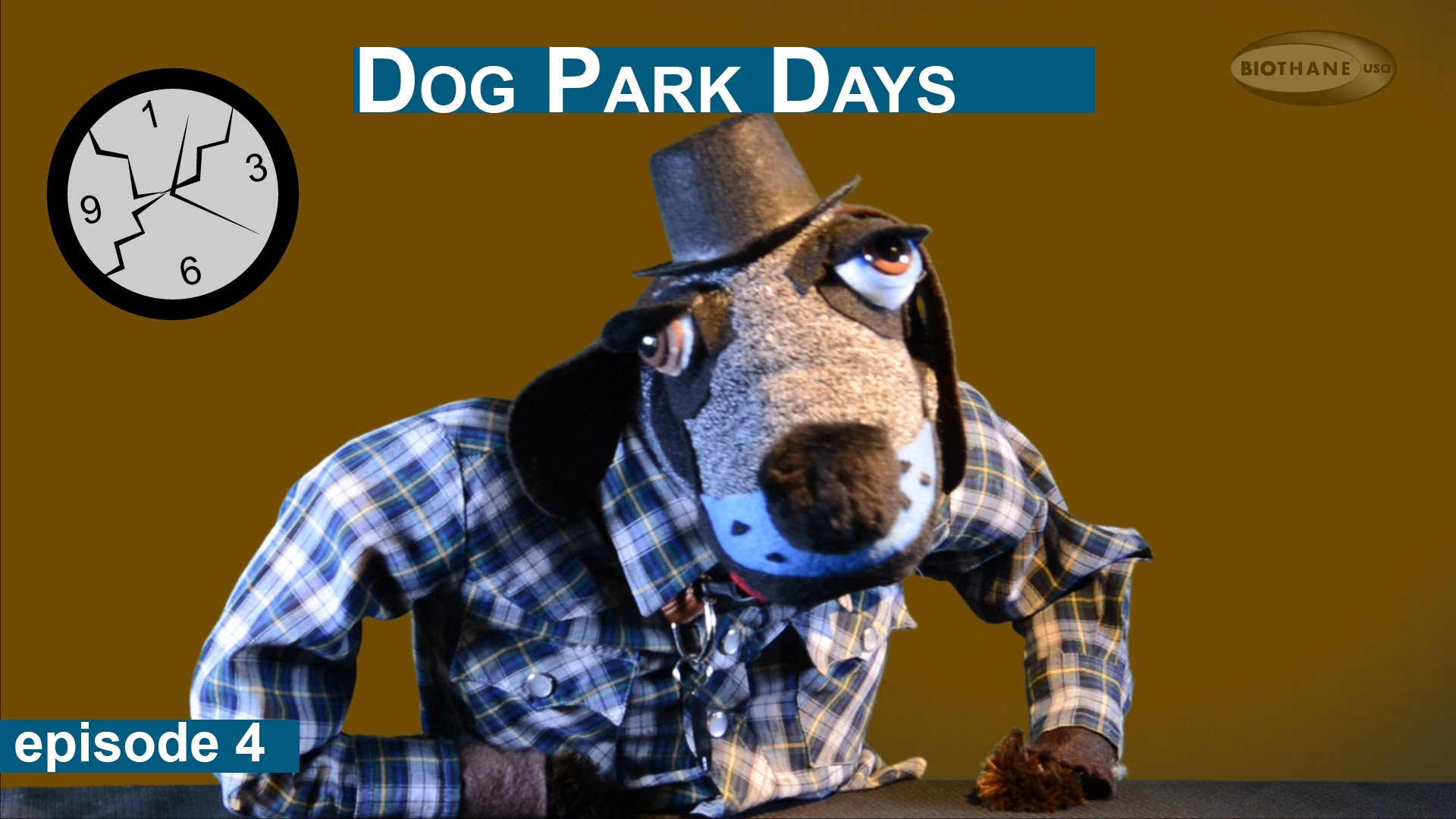 Dog Park Days: Chuck Tries Nylon Dog Collars