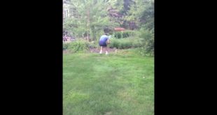 Dog shock collar challenge