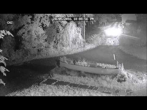 dog sitter leaving house stopping past bridge approached by ryan calling police