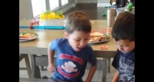 Dog Sneaks Food from Little Boys