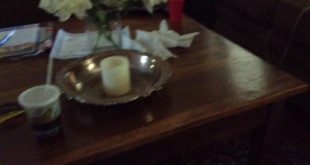 Dog trashes my house