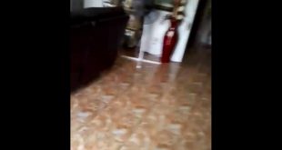 Dog was inside my house