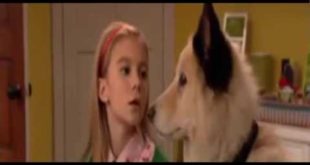 Dog with a Blog – Stan of the House