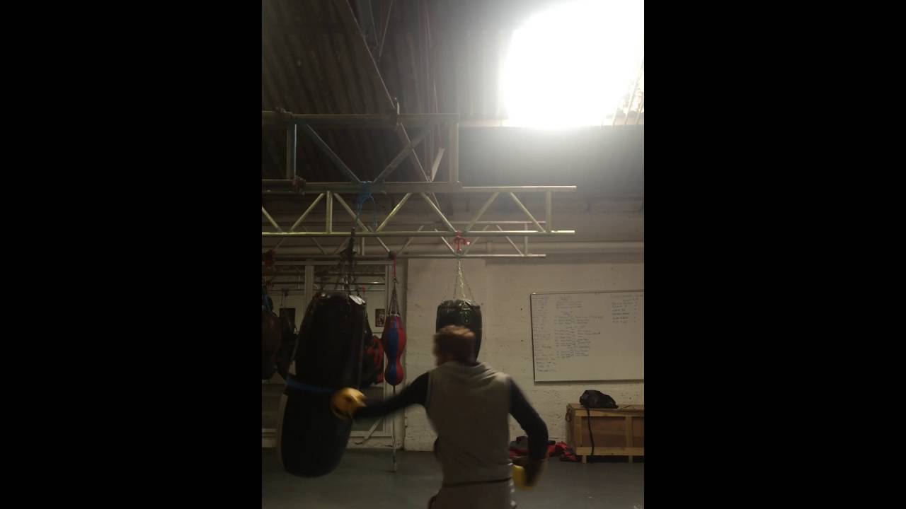Doghouse boxing
